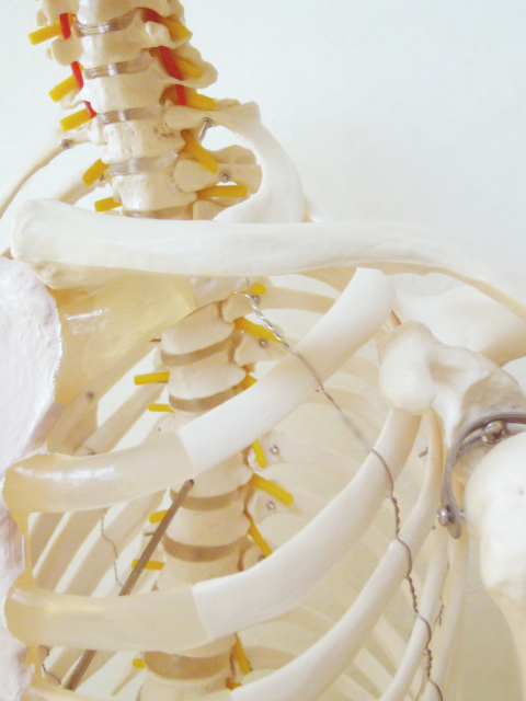 岡山のカイロプラクティック院 -五充-